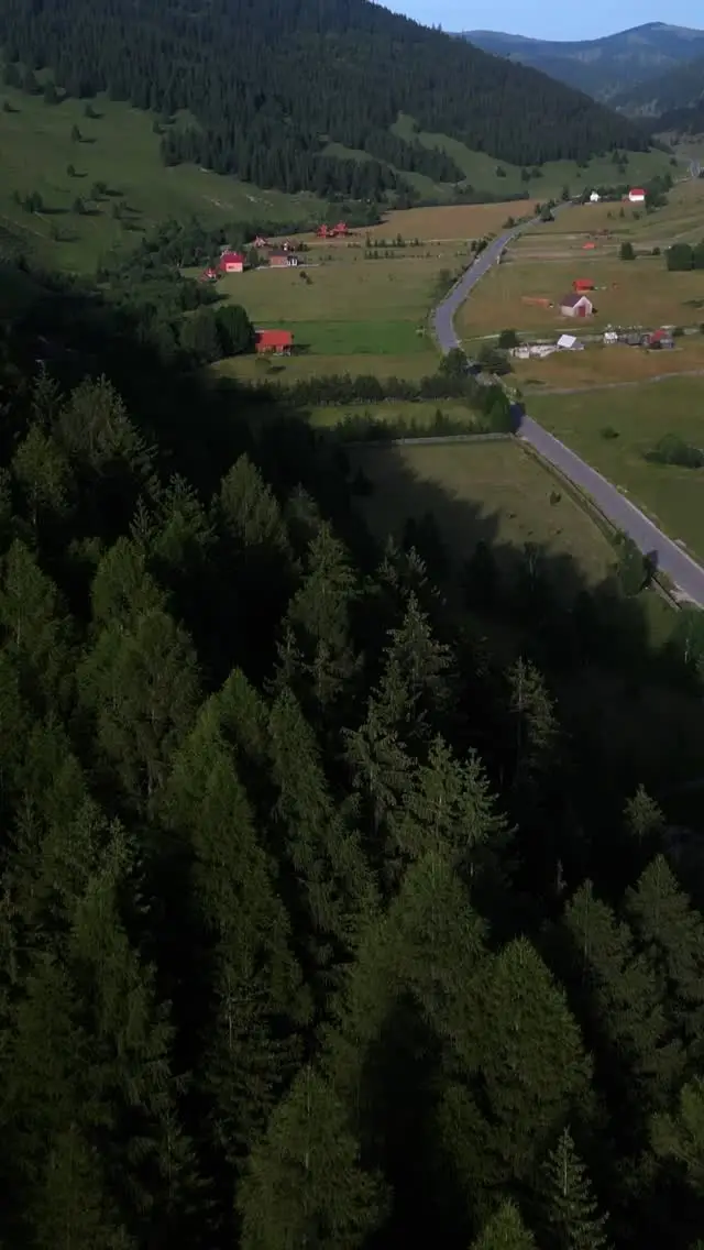 Adriana & Alin 
-
-
-
-
-
-
#fotovideo. #nunta #wedding #love #eskuvo #video #instagood #fotografnunta #miercureaciuc #bacău #moinesti #csikszereda #djnunta #dj #nunta